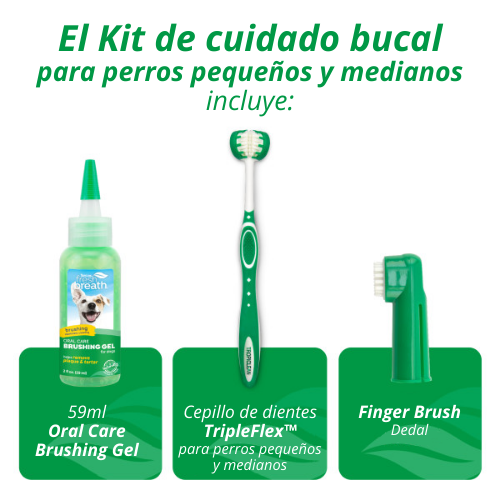 Kit cuidado dental SM